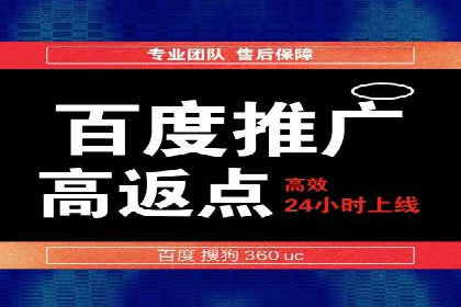 百度推广费用投入与用户转化路径的优化案例
